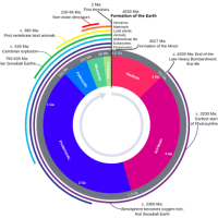 1581600168122206842_1.png (395.75 KB)