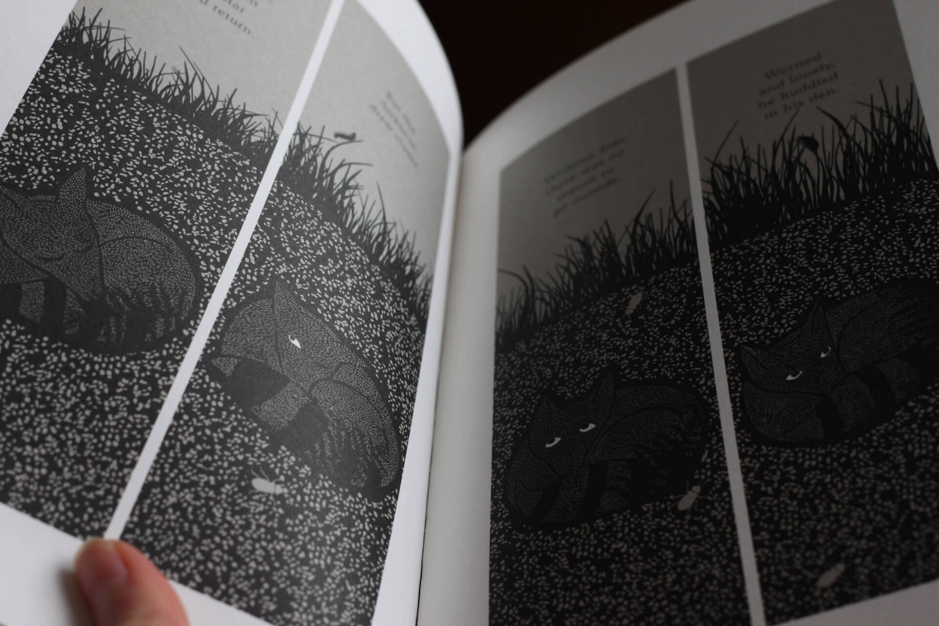 The Fox And The Star Review Olympia Publishers